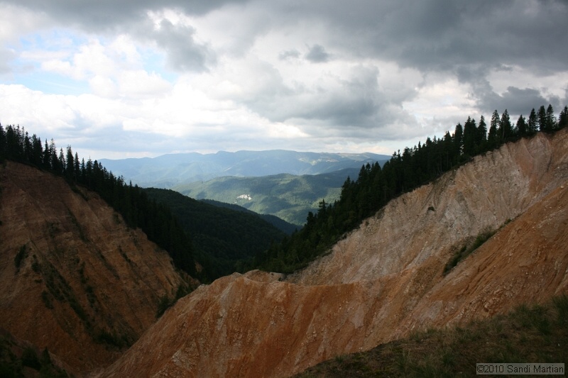 IMG_2613.jpg