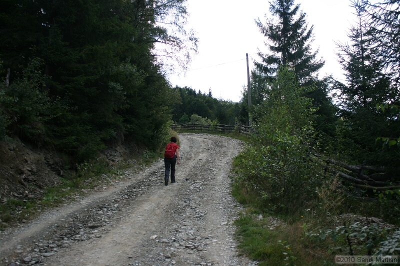 IMG_2645.jpg