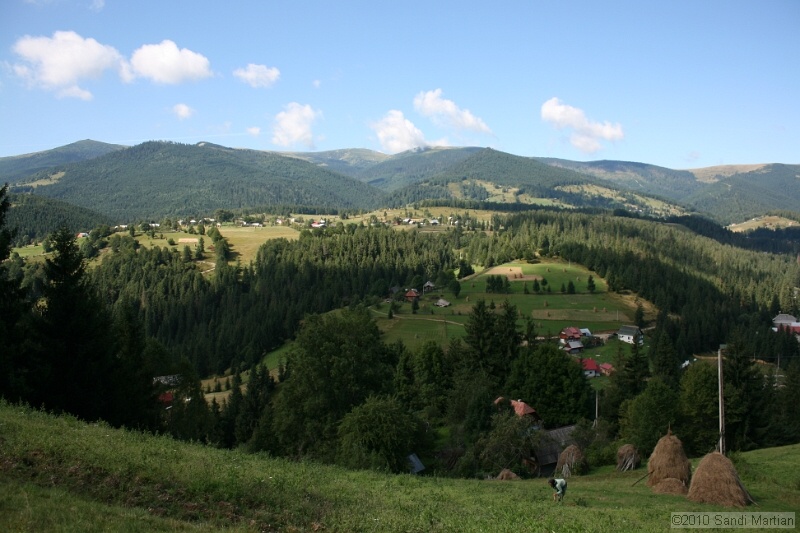 IMG_2653.jpg
