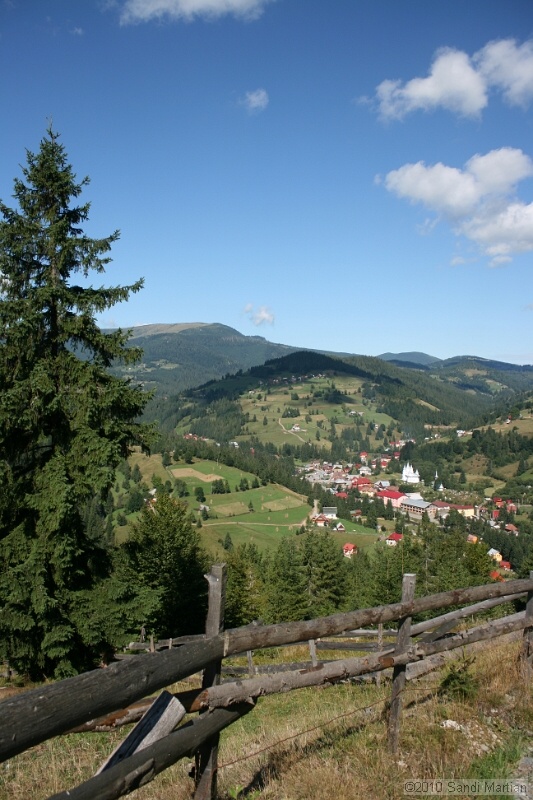 IMG_2657.jpg