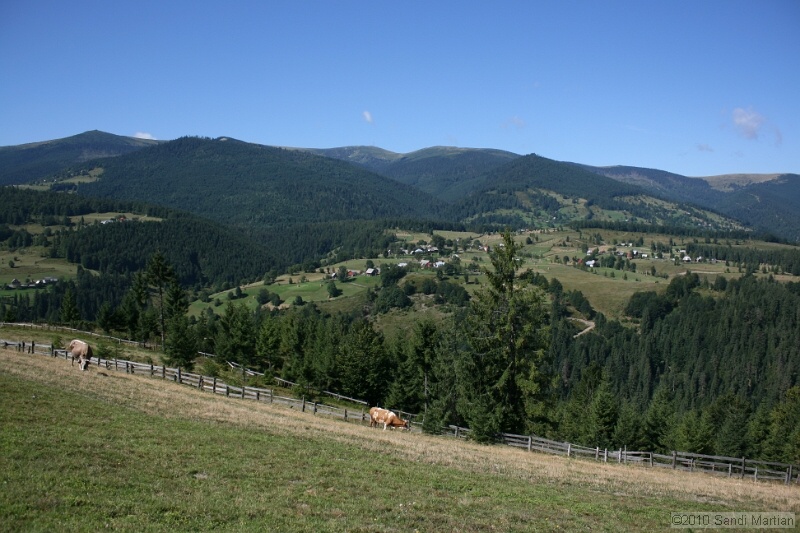 IMG_2660.jpg