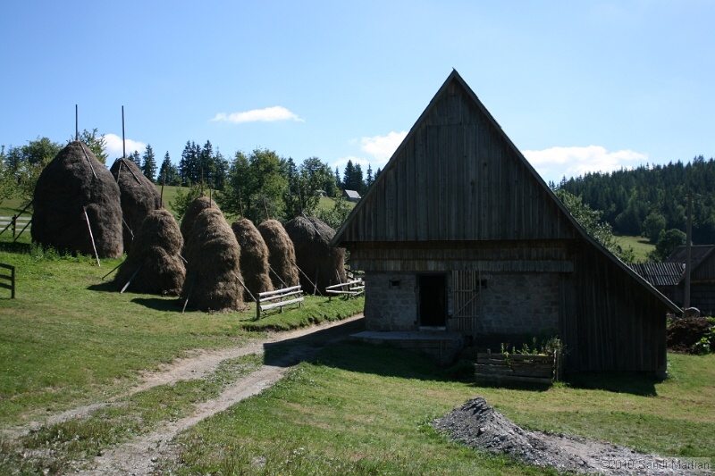 IMG_2669.jpg