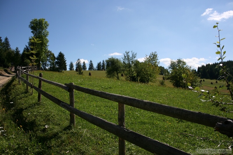 IMG_2670.jpg
