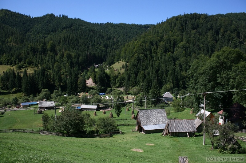 IMG_2674.jpg