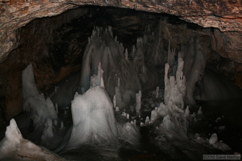 IMG_2727.jpg