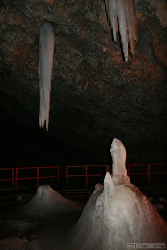 IMG_2737.jpg