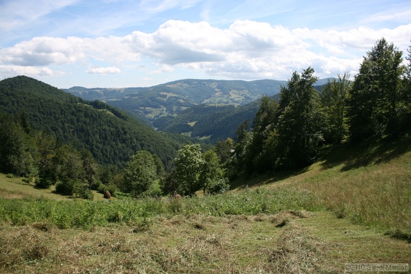 IMG_2752.jpg