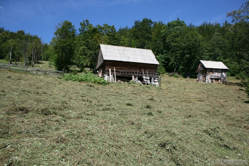 IMG_2753.jpg