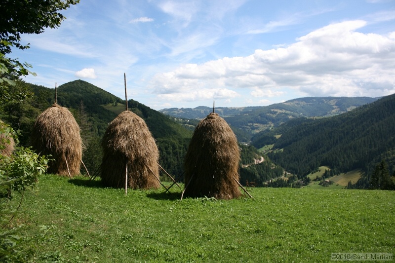 IMG_2754.jpg