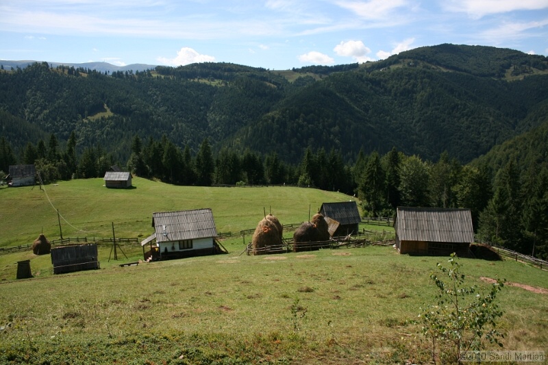 IMG_2760.jpg