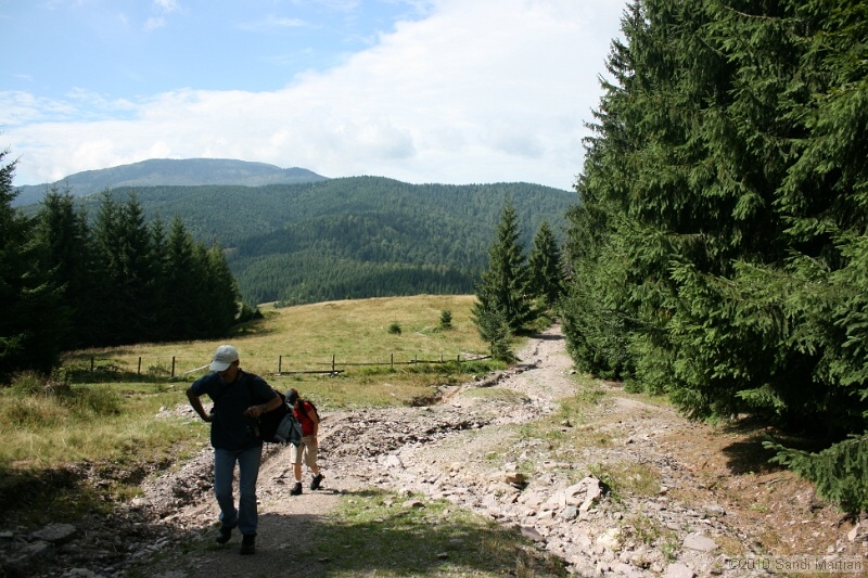 IMG_2771.jpg