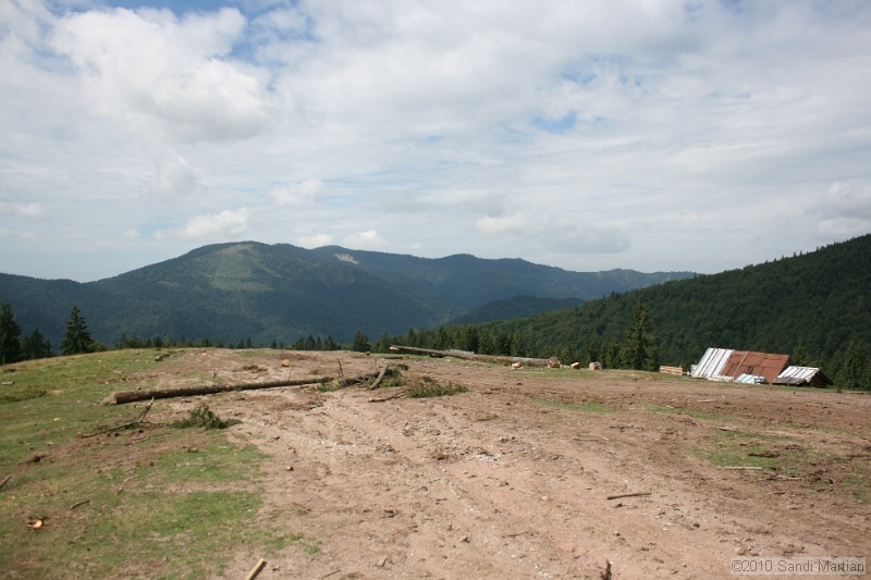 IMG_2774.jpg