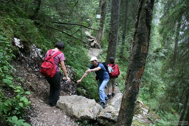 IMG_2797.jpg