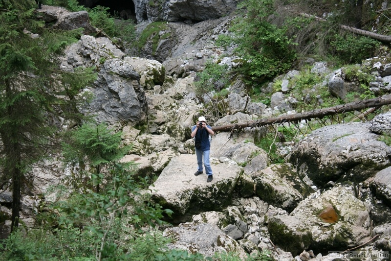 IMG_2831.jpg