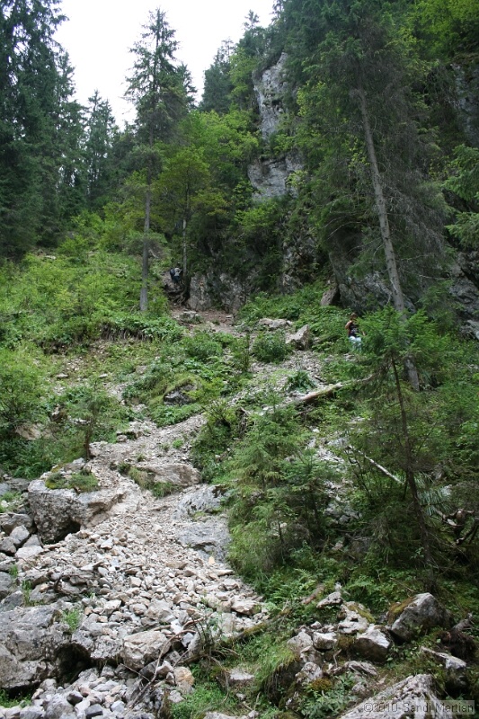 IMG_2837.jpg