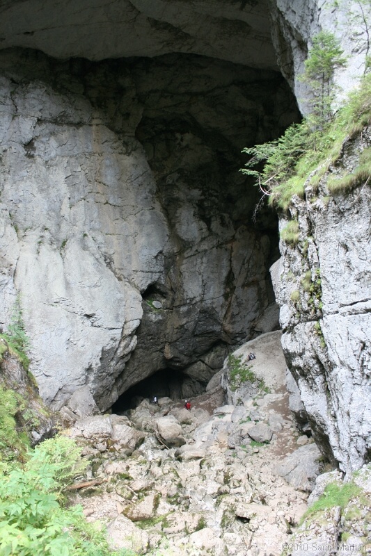 IMG_2853.jpg