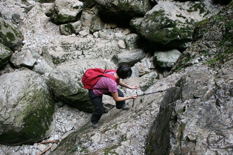 IMG_2863.jpg