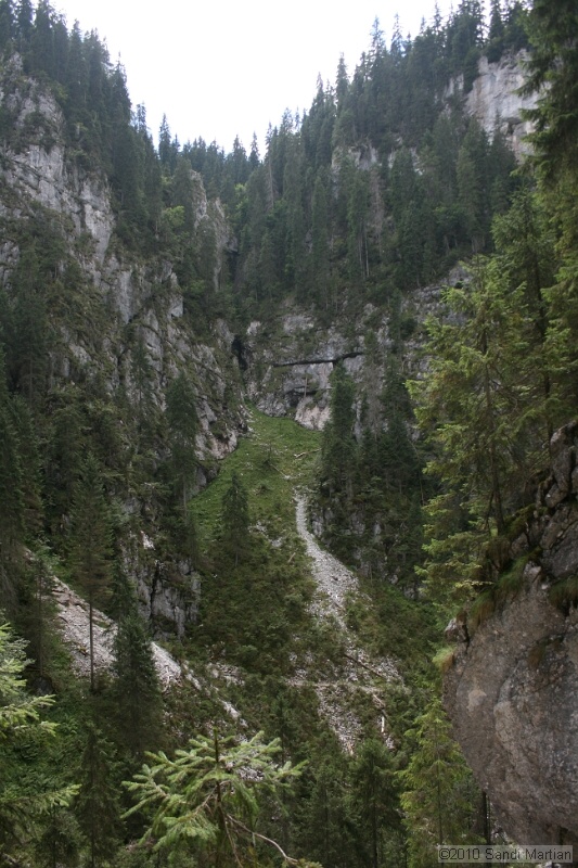 IMG_2892.jpg