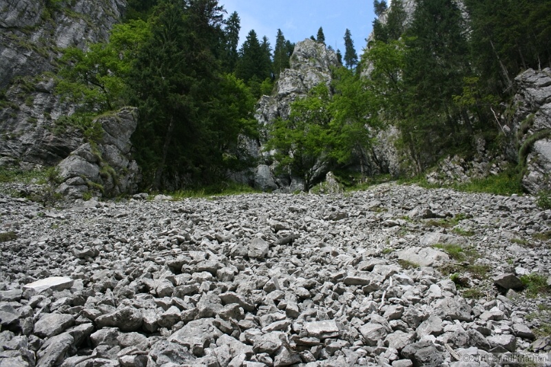 IMG_2907.jpg
