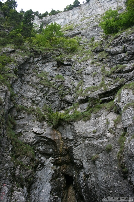 IMG_2911.jpg