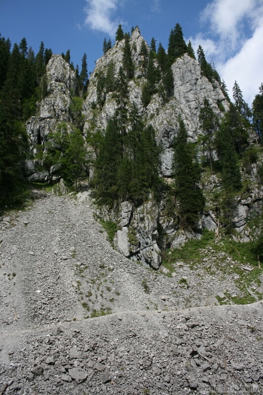 IMG_2913.jpg