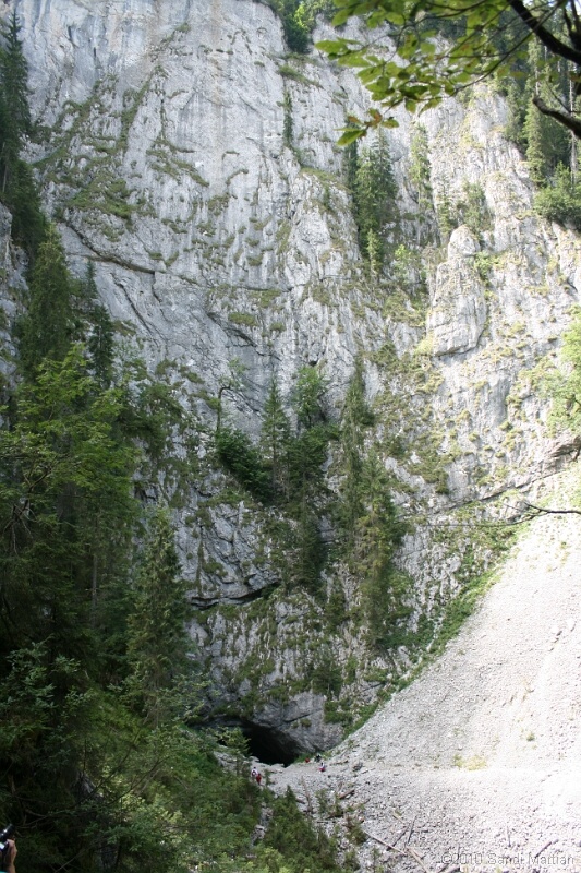 IMG_2921.jpg