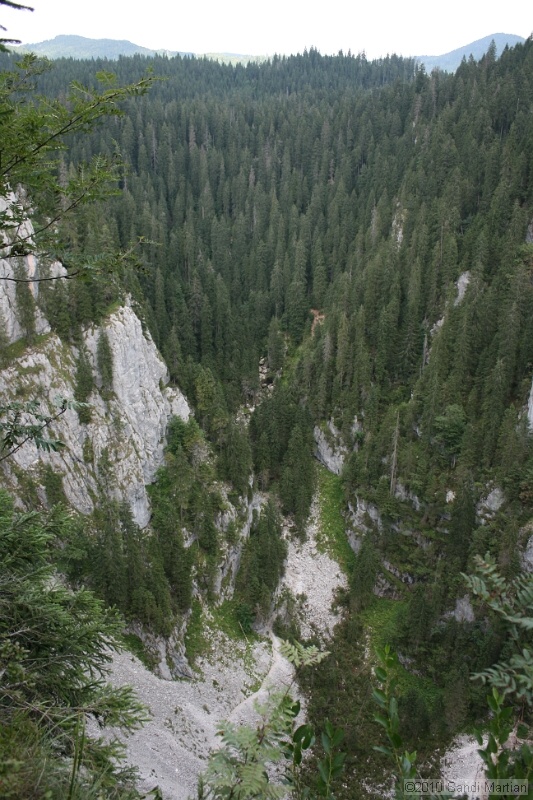 IMG_2931.jpg