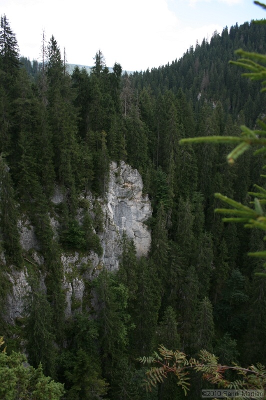 IMG_2950.jpg