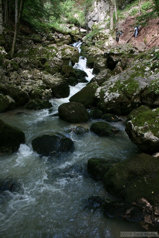 IMG_2986.jpg