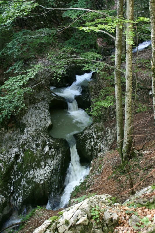 IMG_2995.jpg