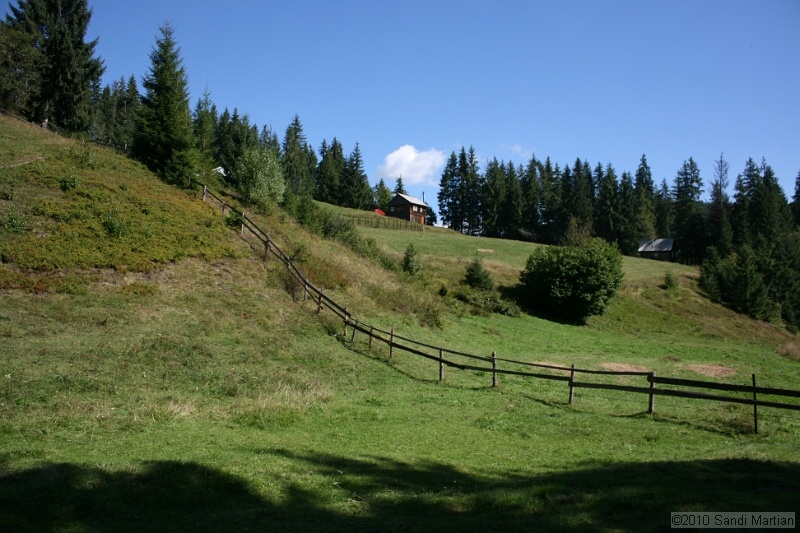 IMG_3041.jpg