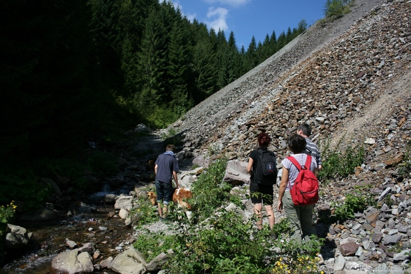 IMG_3075.jpg