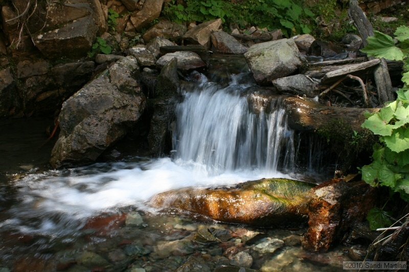 IMG_3079.jpg