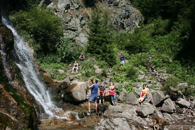 IMG_3100.jpg