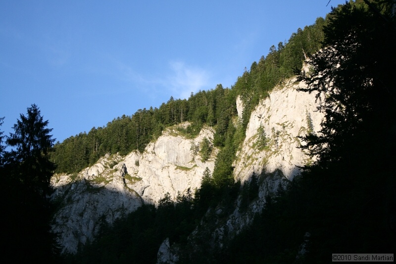 IMG_3156.jpg
