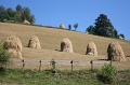 Apuseni - august 2010