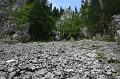 IMG_2907