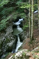 IMG_2995