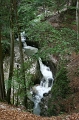 IMG_3001