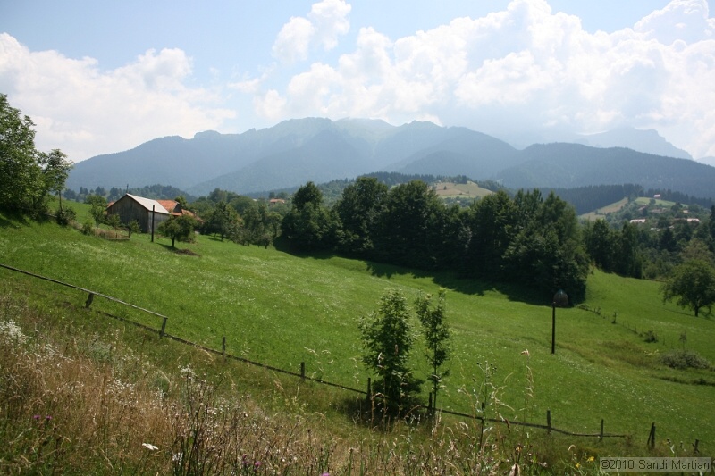 IMG_1788.jpg