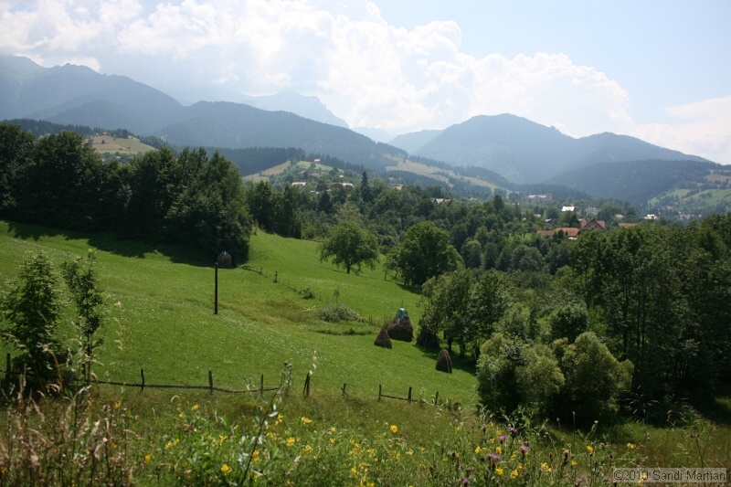IMG_1793.jpg