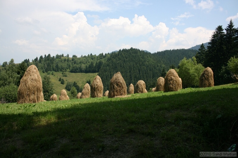 IMG_1809.jpg