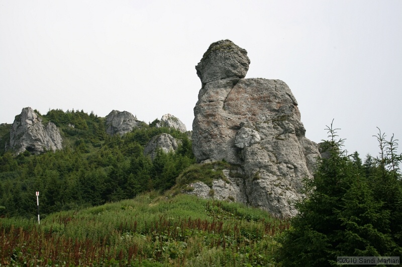 IMG_1819.jpg