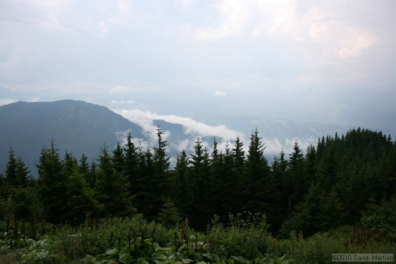 IMG_1824.jpg