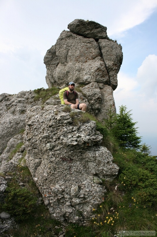 IMG_1826.jpg