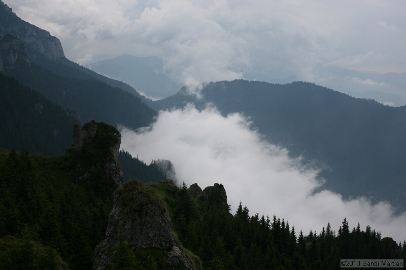 IMG_1830.jpg