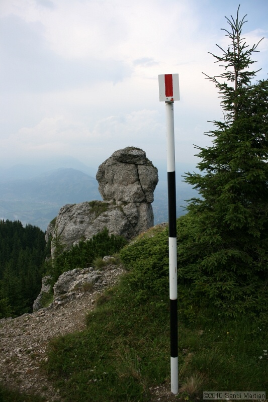 IMG_1832.jpg