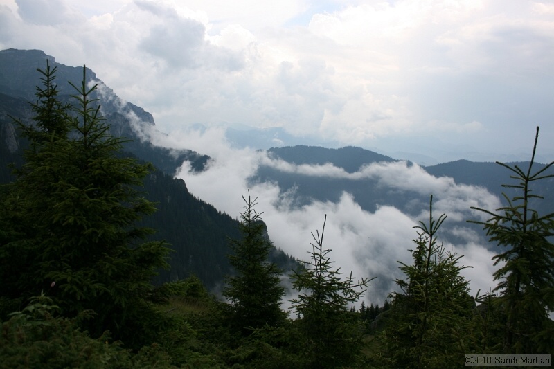IMG_1834.jpg
