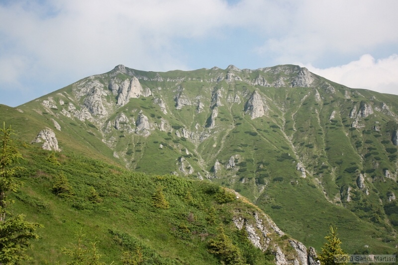 IMG_1846.jpg