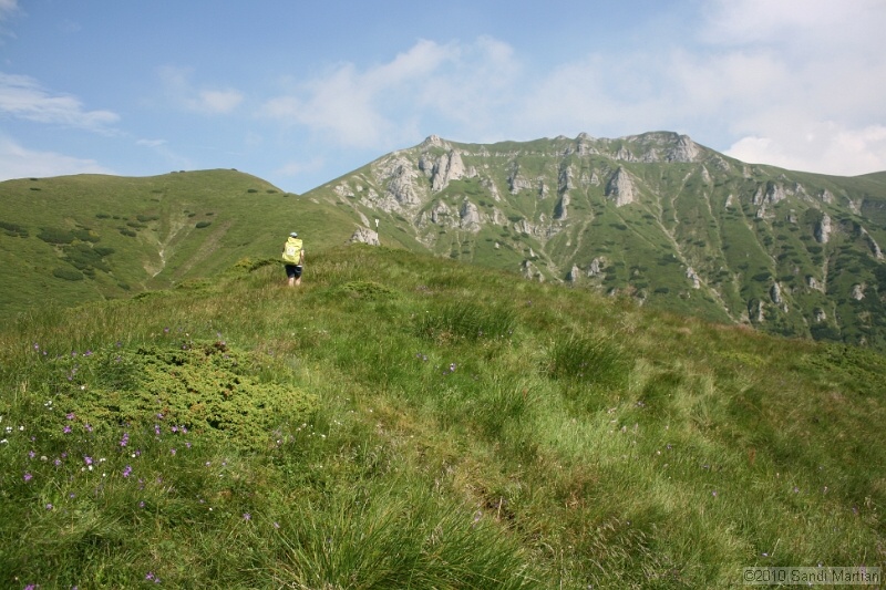 IMG_1850.jpg